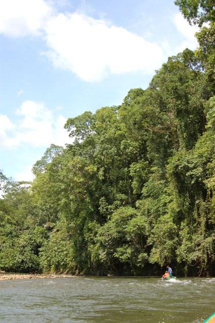 DSC_4370.JPG